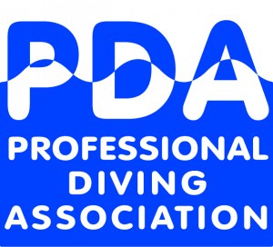 Professional Diving Association